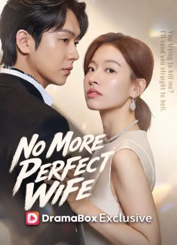No More Perfect Wife